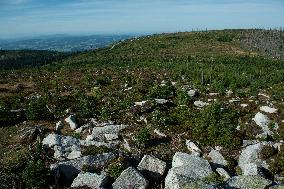 Sumava National Park, Bohemian Forest