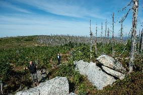 Sumava National Park, Bohemian Forest