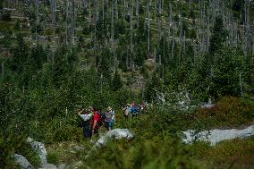 Sumava National Park, Bohemian Forest