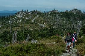 Sumava National Park, Bohemian Forest