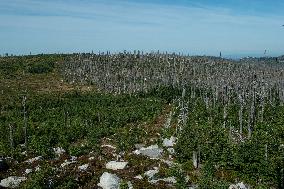 Sumava National Park, Bohemian Forest