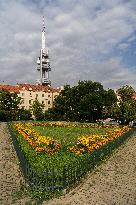 Park on Zizkov square, Prague,  Zizkov district