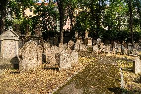 The old Jewish cemetery Zizkov, Prague, graveyard