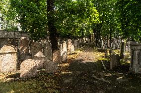 The old Jewish cemetery Zizkov, Prague, graveyard