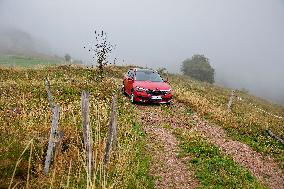 Skoda Kamiq car