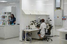 Skoda Auto, production plant, new paint shop
