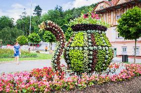 Hotel Jurkovicuv dum on Spa Square, ornamental plant in the shape of spa cup, Luhacovice Spa
