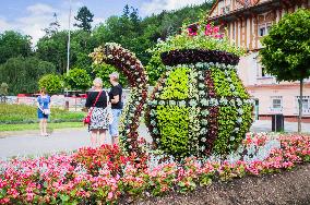 Hotel Jurkovicuv dum on Spa Square, ornamental plant in the shape of spa cup, Luhacovice Spa