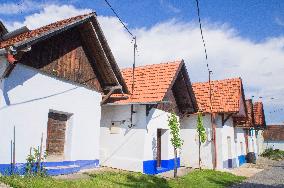 Blatnice pod Svatym Antoninkem, traditional wine cellars