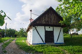 Stara Hora and Kojiny at Vlcnov, traditional wine cellars