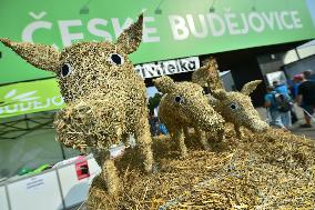 National harvest festival at Zeme zivitelka