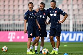 Vladimir Darida, Vladimir Coufal, Marek Suchy, training