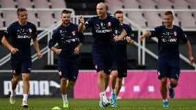 Ondrej Celustka, Michael Krmencik, Ladislav Krejci, Pavel Kaderabek, training