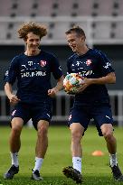 Alex Kral, Jakub Jankto, training