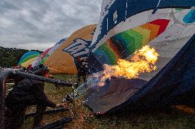 hot air balloon, balloons