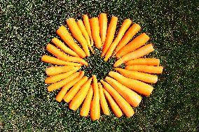 Carrots, peeled, scraped, vegetables