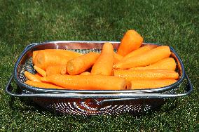 Carrots, peeled, scraped, vegetables