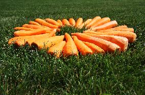 Carrots, peeled, scraped, vegetables