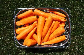 Carrots, peeled, scraped, vegetables