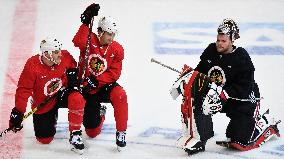 Andrew Shaw, Dylan Strome, Robin Lehner