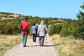 Tourists in the retirement age, hiking, Krkonose Mountains.