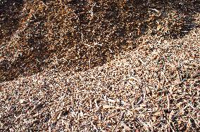 wood chips, woodchips, biomass