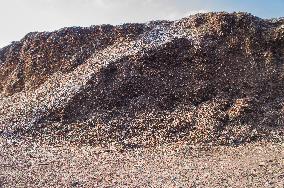 wood chips, woodchips, biomass