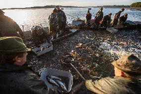 fishermen, fishing, fish, Rozmberk pond