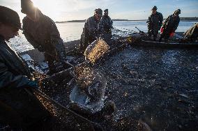 fishermen, fishing, fish, Rozmberk pond