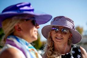 hat, woman, Grand Pardubice steeplechase