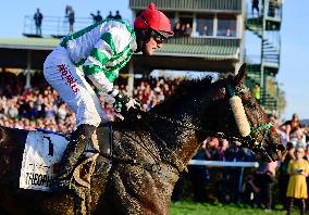 Theophilos with jockey Josef Bartos