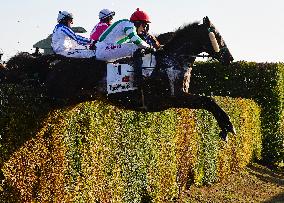 Theophilos with jockey Josef Bartos