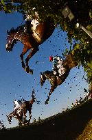 Theophilos with jockey Josef Bartos