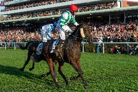 Theophilos with jockey Josef Bartos, Stretton with jockey Thomas Garner