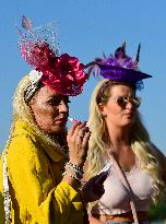 hat, woman, Grand Pardubice steeplechase