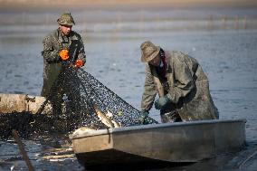 fishermen, fishing, fish, Zehunsky pond