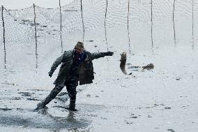 fishermen, fishing, fish, Zehunsky pond