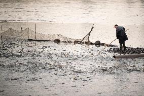 fishermen, fishing, fish, Zehunsky pond