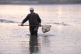 fishermen, fishing, fish, Zehunsky pond