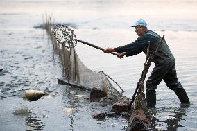 fishermen, fishing, fish, Zehunsky pond