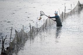 fishermen, fishing, fish, Zehunsky pond