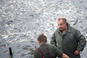 fishermen, fishing, fish, Zehunsky pond