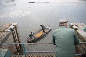 fishermen, fishing, fish, Zehunsky pond