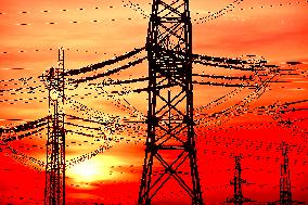 Transmission towers, high voltage pylon, sunset, CEZ, Czech Republic