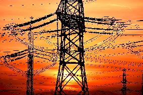 Transmission towers, high voltage pylon, sunset, CEZ, Czech Republic