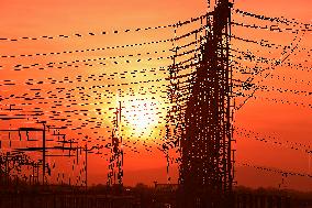 Transmission towers, high voltage pylon, sunset, CEZ, Czech Republic