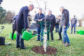 Andrej Babis, oak tree planting, Richard Brabec, Ivan Suchara, Zdenek Kiesenbauer
