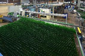 Production of glass bottles, company O-I