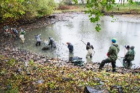 fishermen, fish, pond, fish out, haul, net, carp