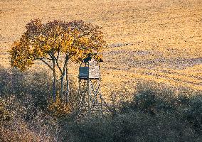 High stand, tree, autumn